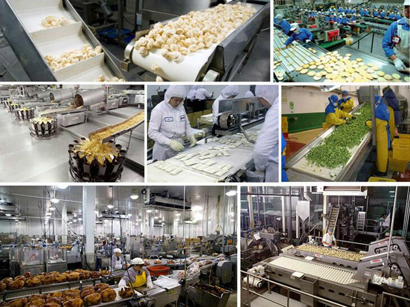 food processing and packaging machinery industry